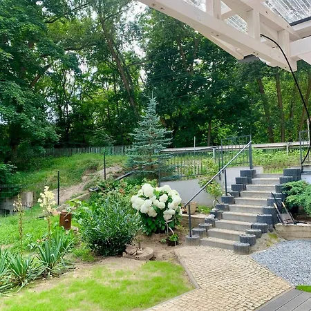 Goscinne Orlovo Dt * غدينيا